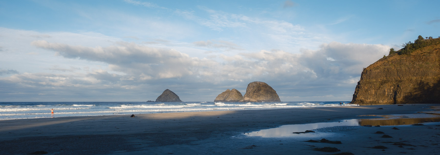Pacific Northwest Road Trip photo titled Pacific Coast 95